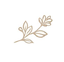 Botanical illustration representing refugee stories, resilience, and rebuilding after displacement